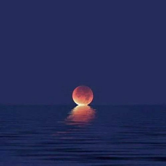 Meet your Posher, Megan - Picture 1 of 1